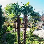 Appartement Marina's In Village