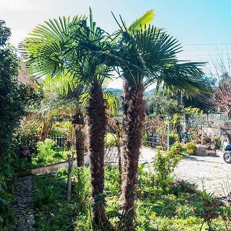 Appartement Marina's In Village