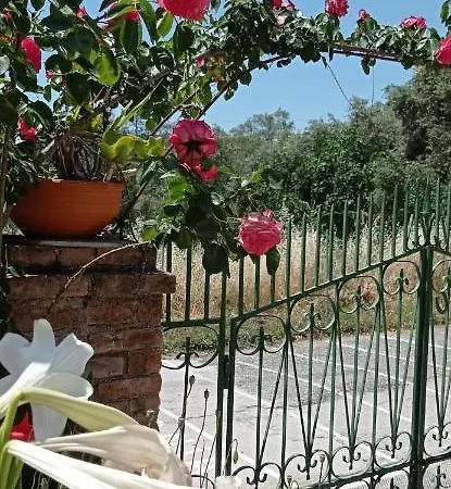 Marina's In Village Appartement *