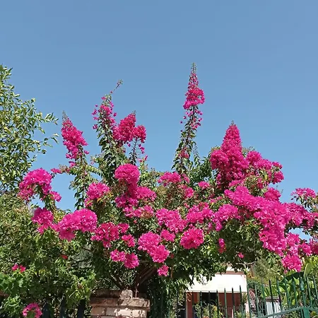 Appartement Marina's In Village