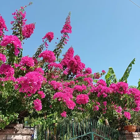 Marina's In Village Kornata